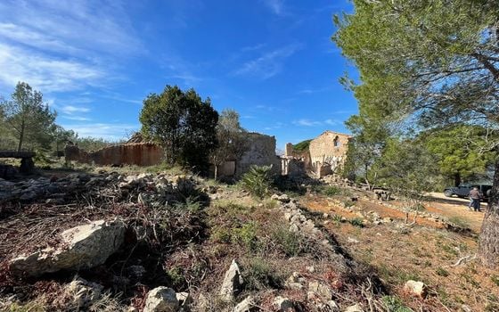Pozemek   v Benidoleig, - APG93788 - Foto - Small - 7