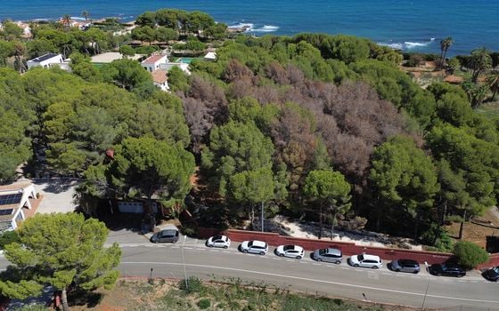 Villa de 6 chambres à Denia - APG93793 - Photo - Small - 25