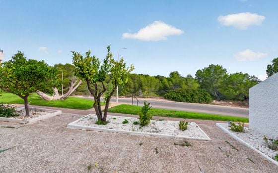 2 bedroom Bungalow in Villamartin - EC133003 - Photo - Small - 23