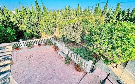 5 bedroom Villa in Callosa De Segura - DPR94884 - Photo - Small - 23