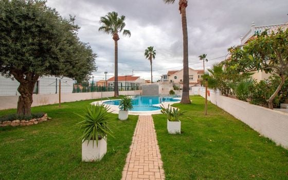 Villa de 3 chambres à Torrevieja - DPR94994 - Photo - Small - 35