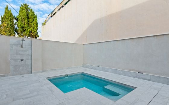 Villa de 4 chambres à Torre de la Horadada - SPH133901 - Photo - 3