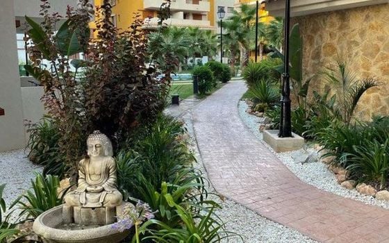 Appartement de 2 chambres à Orihuela Costa - DPR95097 - Photo - Small - 18