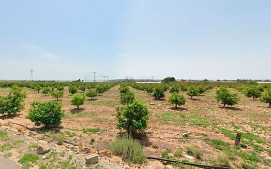 Участок в Рохалес, - DPR95210 - Фото - 3