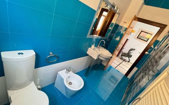Villa de 6 chambres à Torrevieja - DPR95227 - Photo - Small - 14