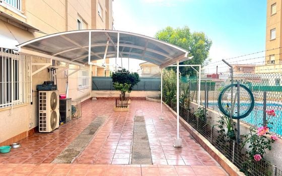 Appartement de 3 chambres à Torrevieja - CT95566 - Photo - 1
