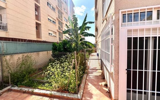 Appartement de 3 chambres à Torrevieja - CT95566 - Photo - Small - 23