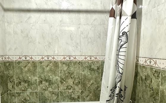 Appartement de 3 chambres à Torrevieja - CT95581 - Photo - Small - 18