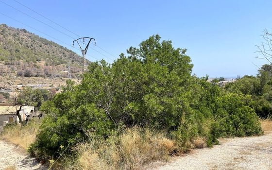 Pozemek   v Calpe, - IMBR95854 - Foto - Small - 7