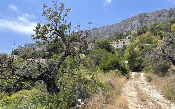 Pozemek   v Calpe, - IMBR95854 - Foto - Small - 13
