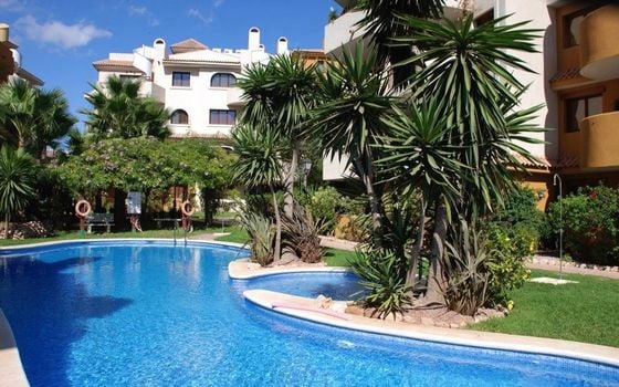 2 bedroom Penthouse in Punta Prima - LR96103 - Photo - 2