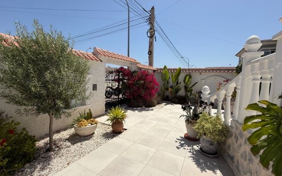 Villa de 3 chambres à Torrevieja - RCJ147366 - Photo - Small - 39