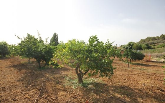 5 bedroom Villa in La Nucia - BNB96774 - Photo - Small - 30