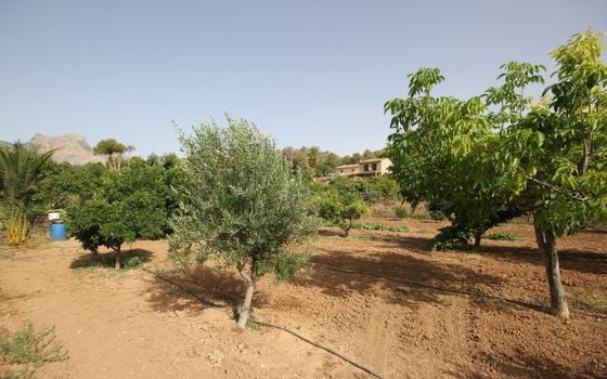 5 bedroom Villa in La Nucia - BNB96774 - Photo - Small - 31