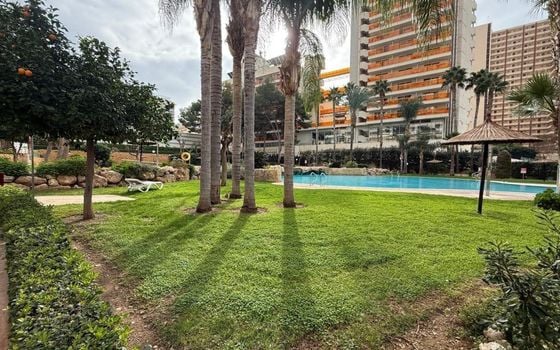 Appartement de 1 chambre à Benidorm - BNB96810 - Photo - 1