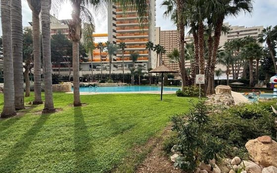 Appartement de 1 chambre à Benidorm - BNB96810 - Photo - 2