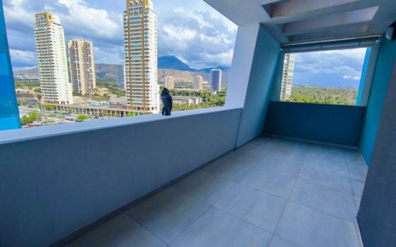 Appartement de 3 chambres à Benidorm - BNB96818 - Photo - Small - 28