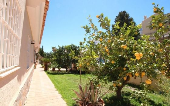 4 bedroom Villa in Alfaz del Pi - BNB96832 - Photo - Small - 32
