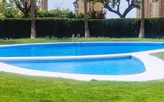 1 bedroom Apartment in Benidorm - HMC97285 - Photo - Small - 23