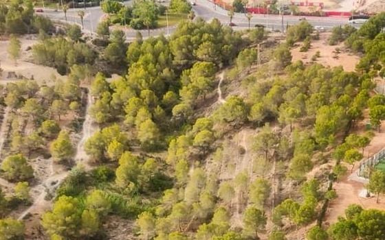 1 bedroom Apartment in Benidorm - HMC97285 - Photo - Small - 24