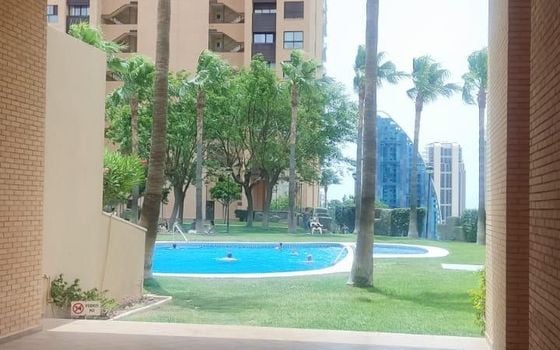 1 bedroom Apartment in Benidorm - HMC97285 - Photo - Small - 15