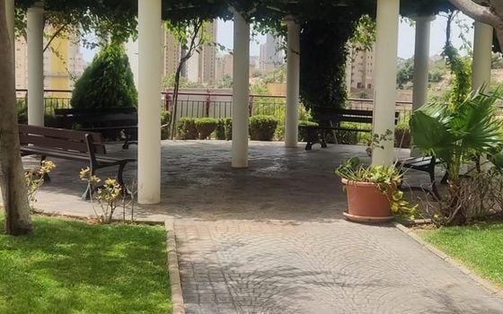 1 bedroom Apartment in Benidorm - HMC97285 - Photo - Small - 19