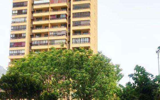 1 bedroom Apartment in Benidorm - HMC97285 - Photo - Small - 21