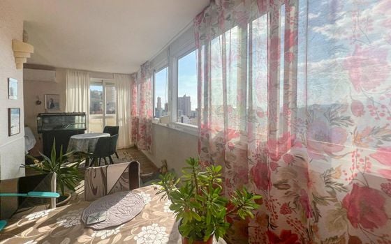 1 bedroom Apartment in Benidorm - HMC97296 - Photo - Small - 7