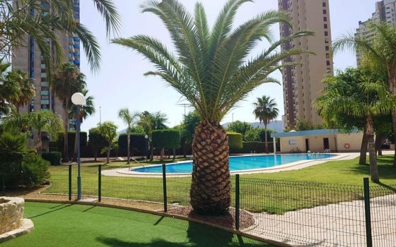 Appartement de 3 chambres à Benidorm - HMC97341 - Photo - 2
