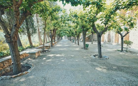 Vilă cu 3 dormitoare în Calasparra - HL137249 - Imagini - Small - 40