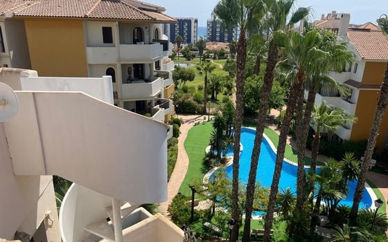1 bedroom Penthouse in Torrevieja - ERV97733 - Photo - Small - 19