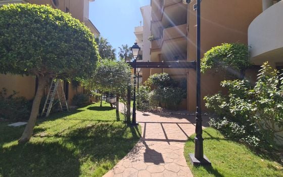 1 bedroom Penthouse in Torrevieja - ERV97733 - Photo - Small - 25