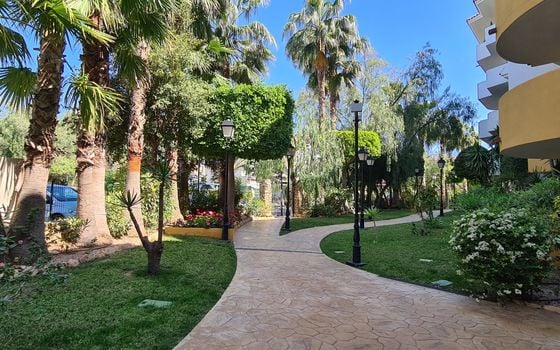 1 bedroom Penthouse in Torrevieja - ERV97733 - Photo - Small - 23