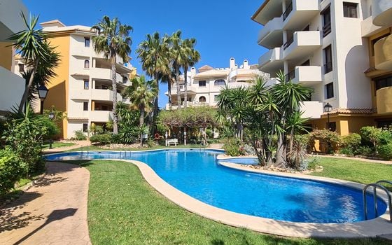 1 bedroom Penthouse in Torrevieja - ERV97733 - Photo - Small - 21
