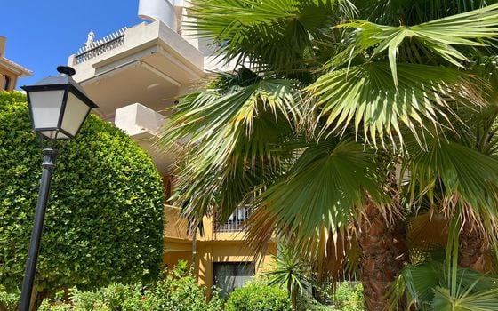 Penthouse de 1 chambre à Torrevieja - ERV97733 - Photo - 2