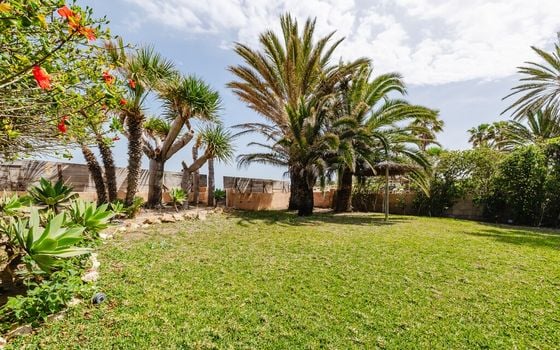 Villa de 4 chambres à Denia - TWTG137250 - Photo - Small - 28