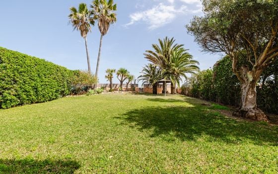 Villa de 4 chambres à Denia - TWTG137250 - Photo - 3