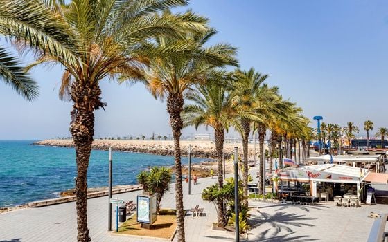 2 bedroom Apartment in Torrevieja - CYM146979 - Photo - Small - 36
