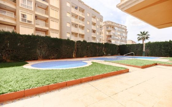Apartamento de 2 habitaciones en Torrevieja - CBE98016 - Foto - 2
