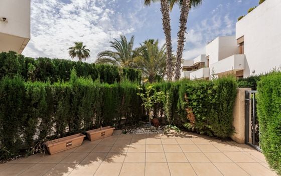 Appartement de 3 chambres à La Zenia - CBE98023 - Photo - Small - 26