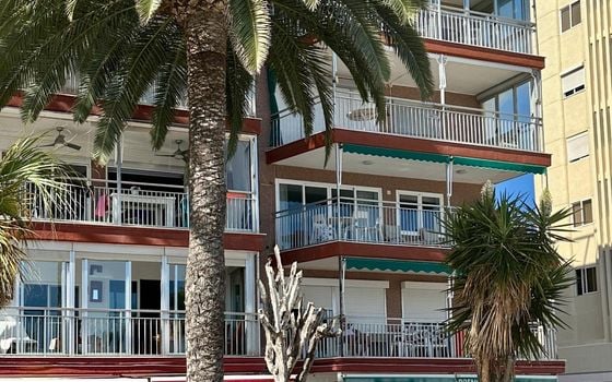 Appartement de 3 chambres à Benidorm - HMC98031 - Photo - Small - 15