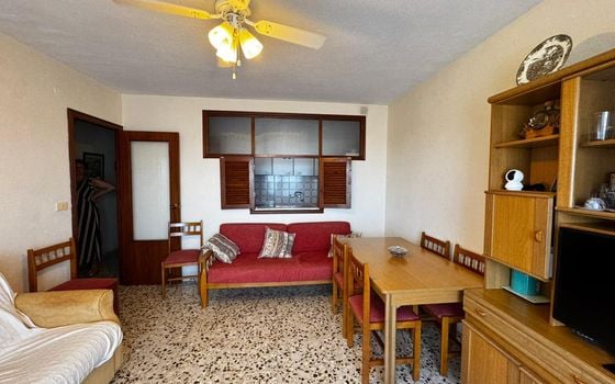Appartement de 3 chambres à Punta Prima - LR98135 - Photo - 3
