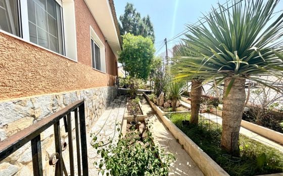 6 bedroom Villa in San Miguel de Salinas - SLN98381 - Photo - Small - 30