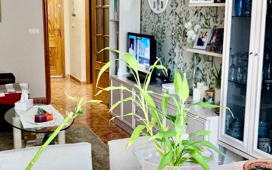 Appartement de 2 chambres à Benidorm - CPP99738 - Photo - 3