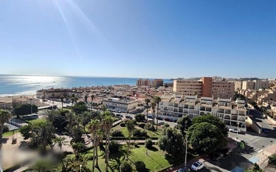 2 bedroom Apartment in Torrevieja - SHL105794 - Photo - Small - 15