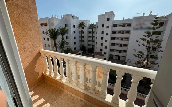 Appartement de 3 chambres à Guardamar del Segura - NSP149196 - Photo - Small - 13