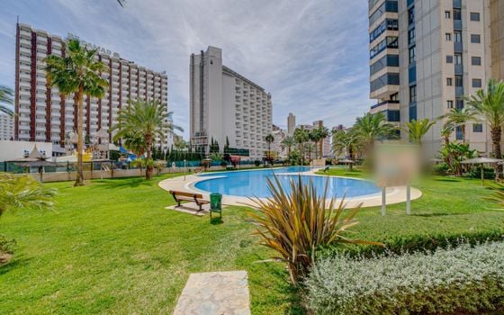 1 bedroom Apartment in Benidorm - AG150817 - Photo - Small - 25