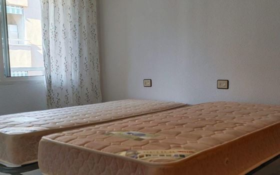 2 bedroom Apartment in Torrevieja - AG151740 - Photo - 5