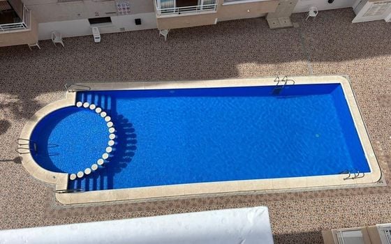 Appartement de 2 chambres à Torrevieja - AG152032 - Photo - Small - 17
