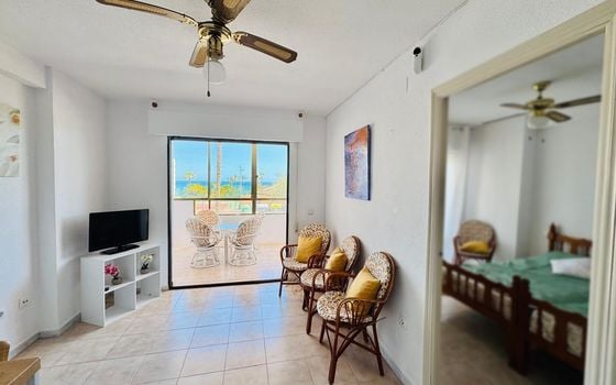 Appartement de 3 chambres à Torrevieja - ERV153558 - Photo - 4